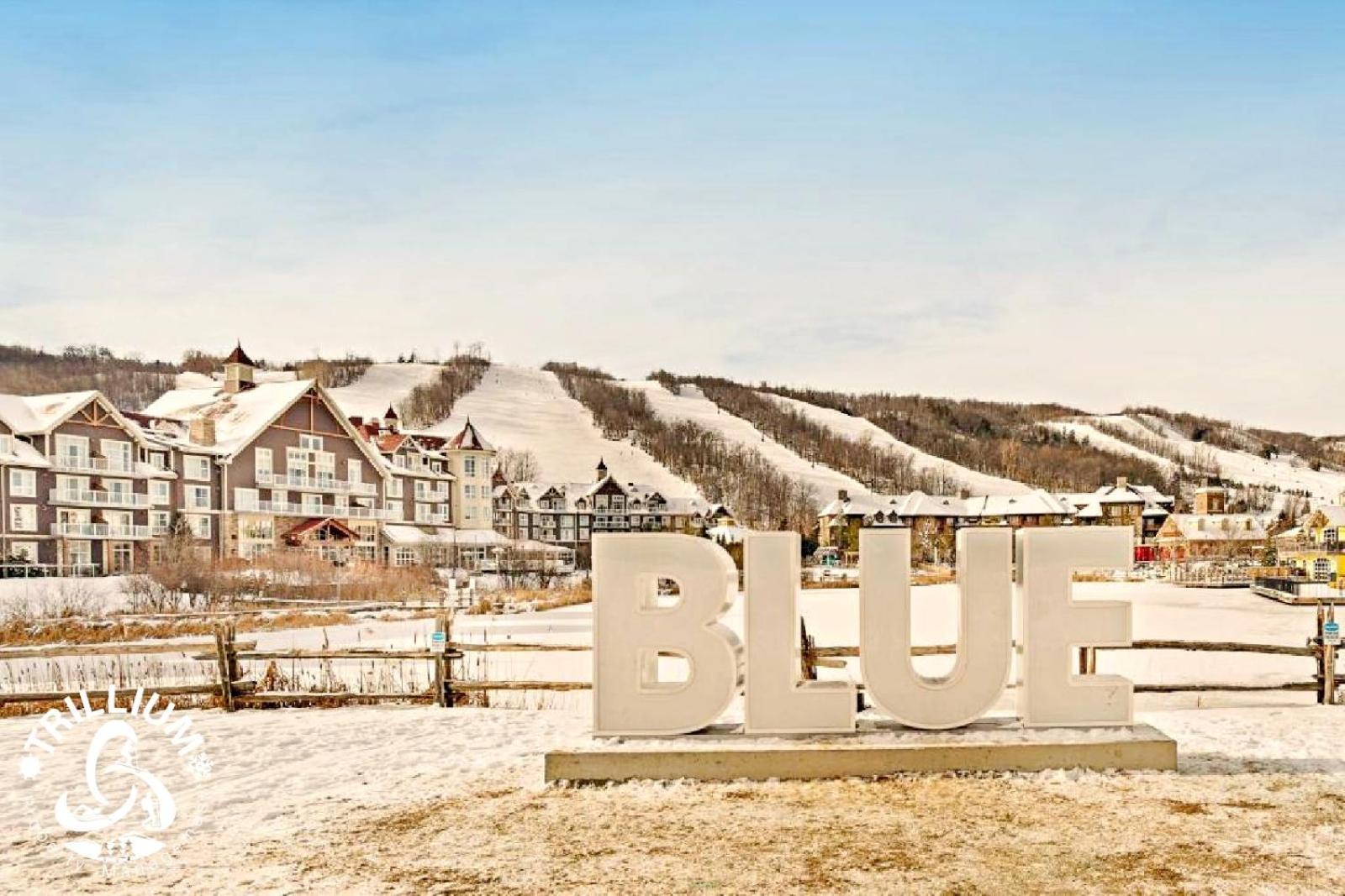 ההרים הכחולים Blue Mountain, Collingwood - Loft Condo, Sleeps 4 מראה חיצוני תמונה
