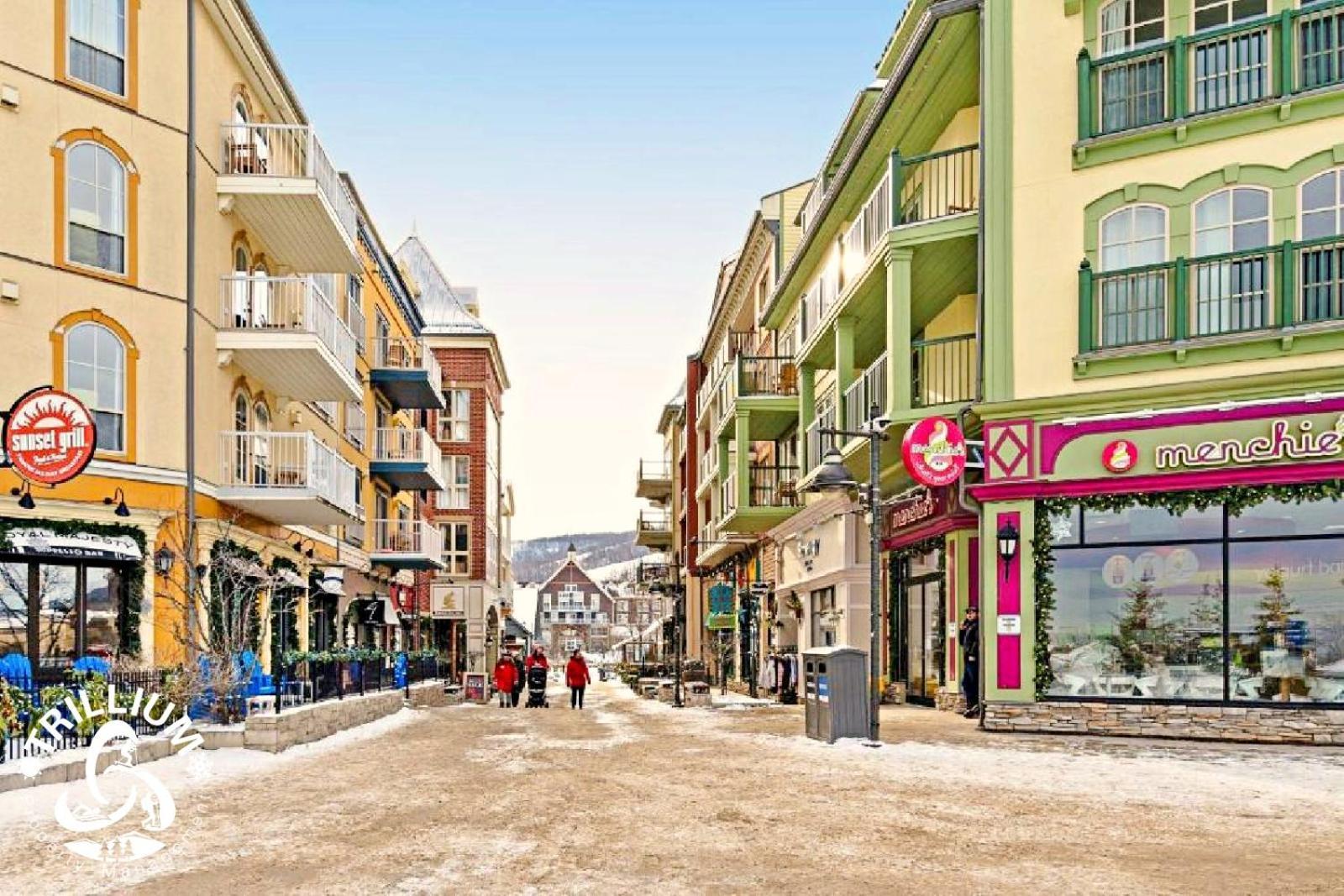 ההרים הכחולים Blue Mountain, Collingwood - Loft Condo, Sleeps 4 מראה חיצוני תמונה